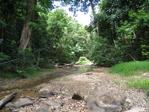 Lockhart River river