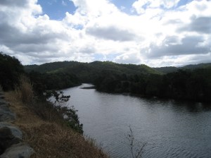 Bloomfield river wujal