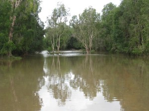 Flooded Creek at Kowanyama 